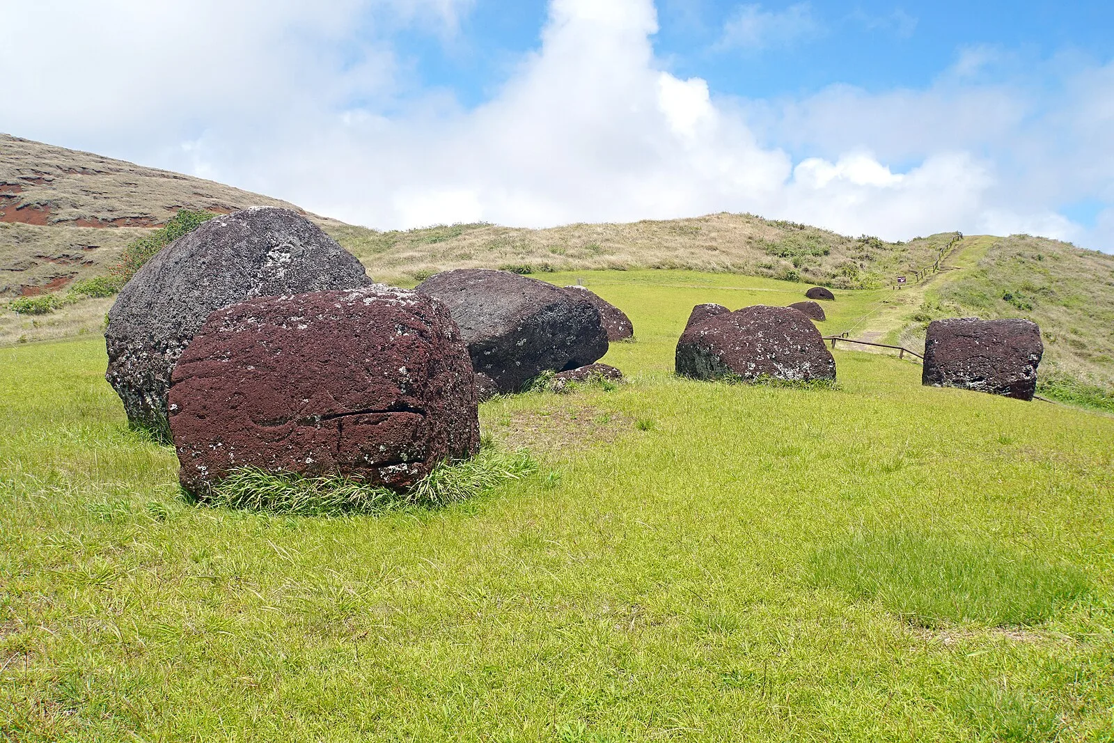 Puna Pau